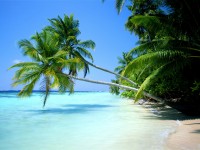 /album/wallpapers/vista-starter-edition-beta-2-img735-jpg/